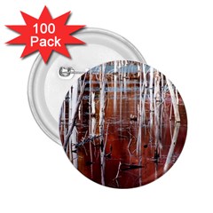 Swamp2 Filtered 2 25  Button (100 Pack)