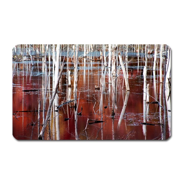 Swamp2 Filtered Magnet (Rectangular)