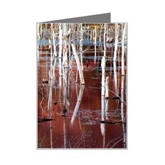 Swamp2 Filtered Mini Greeting Card by cgar