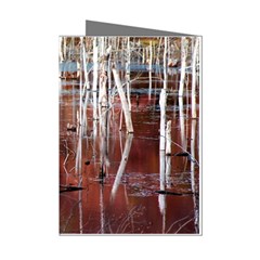 Swamp2 Filtered Mini Greeting Card (8 Pack) by cgar