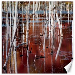 Swamp2 Filtered Canvas 12  X 12  (unframed) by cgar