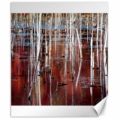 Swamp2 Filtered Canvas 20  X 24  (unframed)