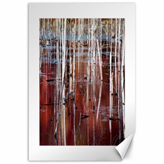 Swamp2 Filtered Canvas 20  X 30  (unframed)