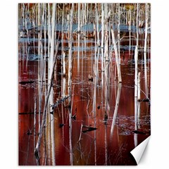 Swamp2 Filtered Canvas 11  X 14  (unframed)