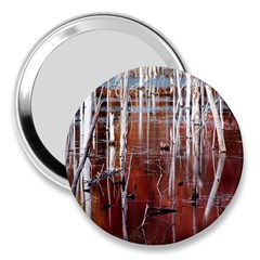 Swamp2 Filtered 3  Handbag Mirror