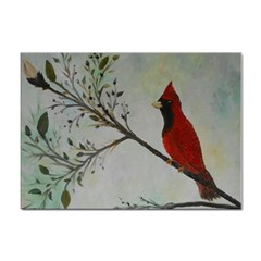 Sweet Red Cardinal A4 Sticker 100 Pack