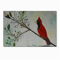 Sweet Red Cardinal Postcards 5  X 7  (10 Pack) by rokinronda