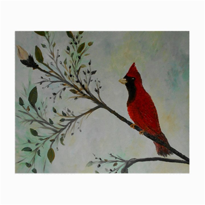 Sweet Red Cardinal Glasses Cloth (Small)