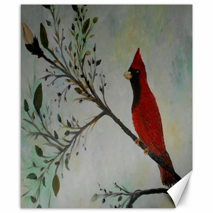 Sweet Red Cardinal Canvas 8  x 10  (Unframed)