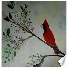 Sweet Red Cardinal Canvas 12  X 12  (unframed) by rokinronda