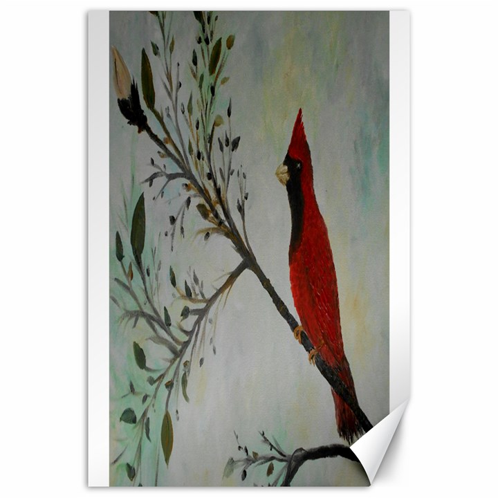 Sweet Red Cardinal Canvas 20  x 30  (Unframed)