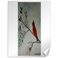 Sweet Red Cardinal Canvas 36  X 48  (unframed) by rokinronda