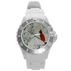 Sweet Red Cardinal Plastic Sport Watch (large) by rokinronda