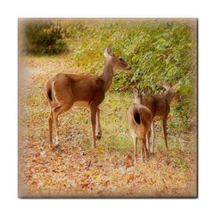 Deer In Nature Ceramic Tile