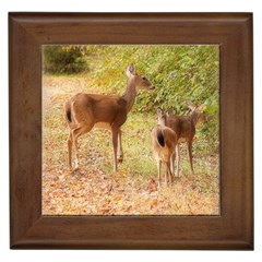 Deer In Nature Framed Ceramic Tile by uniquedesignsbycassie