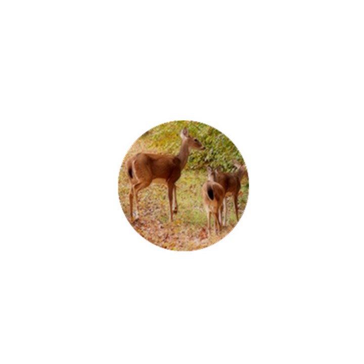 Deer in Nature 1  Mini Button Magnet