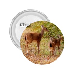 Deer In Nature 2 25  Button by uniquedesignsbycassie