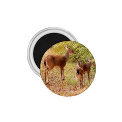 Deer In Nature 1 75  Button Magnet by uniquedesignsbycassie