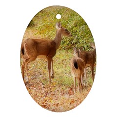 Deer In Nature Oval Ornament