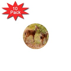 Deer In Nature 1  Mini Button Magnet (10 Pack) by uniquedesignsbycassie