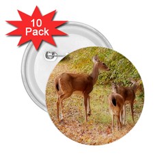 Deer In Nature 2 25  Button (10 Pack)