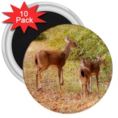 Deer In Nature 3  Button Magnet (10 Pack)