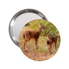 Deer In Nature Handbag Mirror (2 25 ) by uniquedesignsbycassie