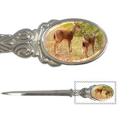 Deer In Nature Letter Opener