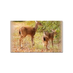 Deer In Nature Sticker (rectangle)