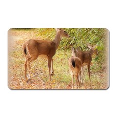 Deer In Nature Magnet (rectangular)