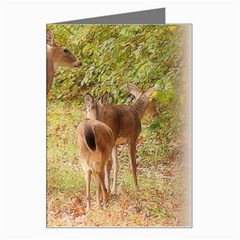 Deer In Nature Greeting Card by uniquedesignsbycassie