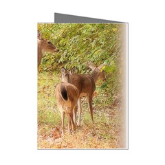 Deer In Nature Mini Greeting Card (8 Pack)