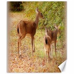 Deer In Nature Canvas 8  X 10  (unframed) by uniquedesignsbycassie