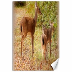 Deer In Nature Canvas 20  X 30  (unframed)