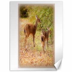 Deer In Nature Canvas 36  X 48  (unframed) by uniquedesignsbycassie