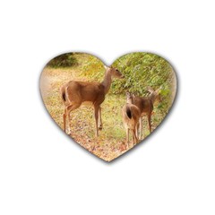 Deer In Nature Drink Coasters 4 Pack (heart)  by uniquedesignsbycassie