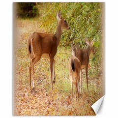 Deer In Nature Canvas 11  X 14  (unframed)