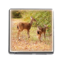 Deer In Nature Memory Card Reader With Storage (square) by uniquedesignsbycassie