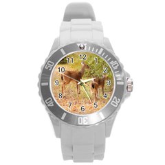 Deer In Nature Plastic Sport Watch (large) by uniquedesignsbycassie