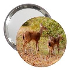 Deer In Nature 3  Handbag Mirror