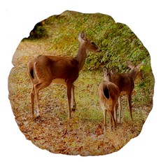 Deer In Nature 18  Premium Round Cushion  by uniquedesignsbycassie