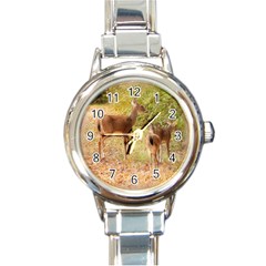 Deer In Nature Round Italian Charm Watch