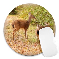 Deer In Nature 8  Mouse Pad (round) by uniquedesignsbycassie