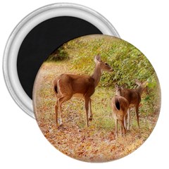 Deer In Nature 3  Button Magnet