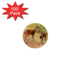 Deer In Nature 1  Mini Button Magnet (100 Pack)