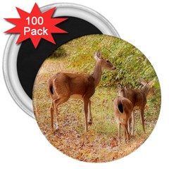 Deer In Nature 3  Button Magnet (100 Pack) by uniquedesignsbycassie