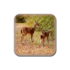 Deer In Nature Drink Coaster (square)