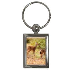 Deer In Nature Key Chain (rectangle)