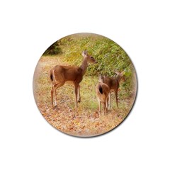 Deer In Nature Drink Coaster (round)