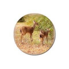 Deer In Nature Magnet 3  (round)